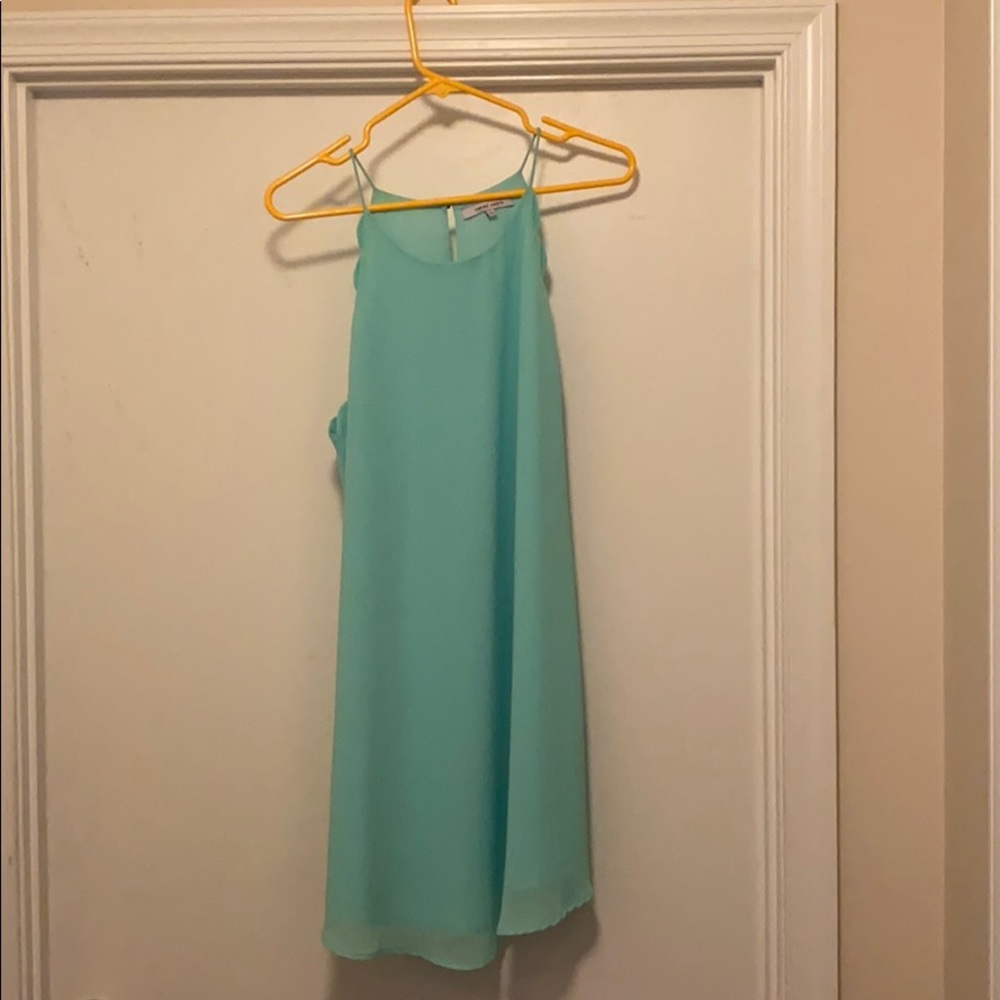 Naked Zebra Mint Dress